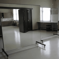 STM Rollaway mirrors